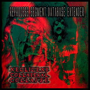 NEGLIGENT COLLATERAL COLLAPSE - Reprocess Segment Database Extender