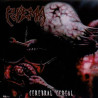 PYAEMIA - Cerebral Cereal
