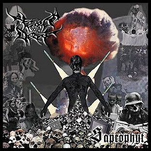 TEARS OF DECAY - Saprophyt