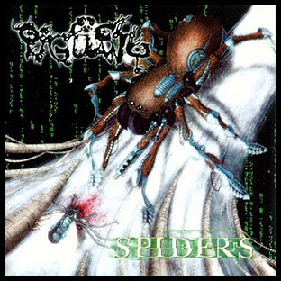 PIGSTY - Spiders