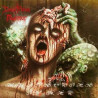 DISASTROUS MURMUR - Rhapsodies in Red