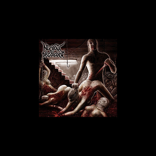 NECROTIC DISGORGEMENT - Suffocated in Skinwrap