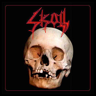 SKULL - Beer, Metal, Spikes