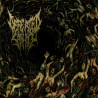 DEFEATED SANITY - Psalms of the Moribund