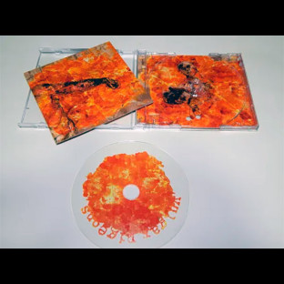 VULGAR PIGEONS - Burning Episode