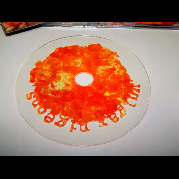 VULGAR PIGEONS - Burning Episode