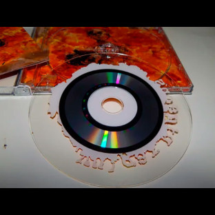 VULGAR PIGEONS - Burning Episode