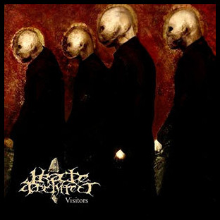 IRATE ARCHITECT - Visitors