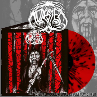 MOLESTED - Blod Draum