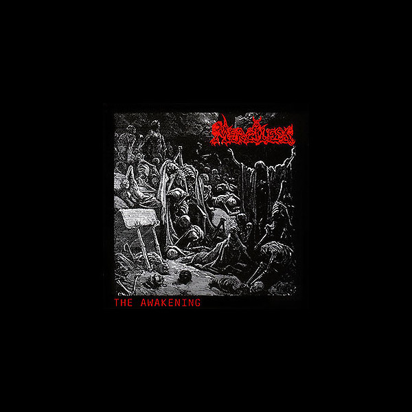 MERCILESS - The Awakening