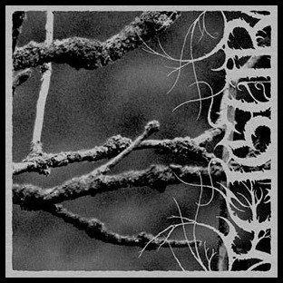 FEIGUR - II, Désolation