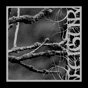 FEIGUR - II, Désolation