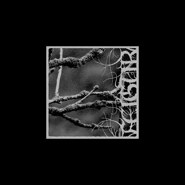 FEIGUR - II, Désolation