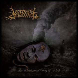 VERMIS ANTECESSOR - The Subliminal Way of Flesh