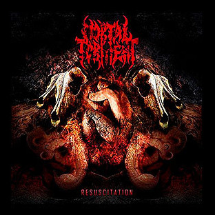 MORTAL TORMENT - Resuscitation