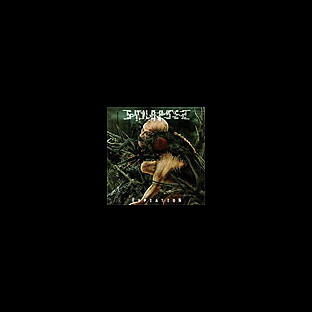 SYNAPSES - Expiation