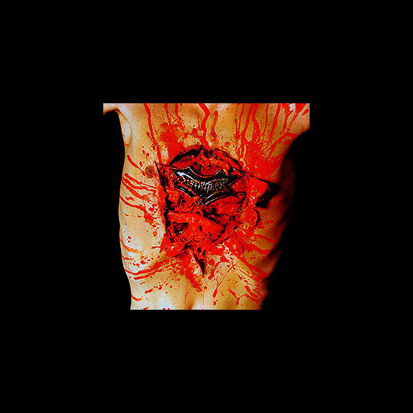 DISMEMBER - Indecent & Obscene