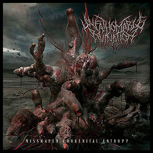 UNFATHOMABLE RUINATION - Misshapen Congenital Entropy