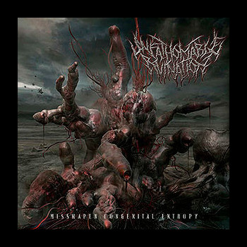 UNFATHOMABLE RUINATION - Misshapen Congenital Entropy