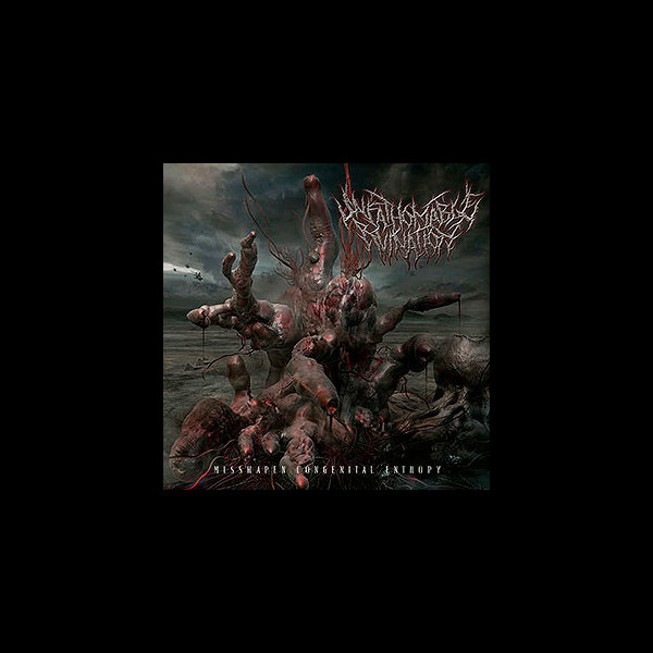UNFATHOMABLE RUINATION - Misshapen Congenital Entropy