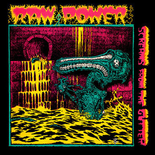 RAW POWER - Screams From the Gutter