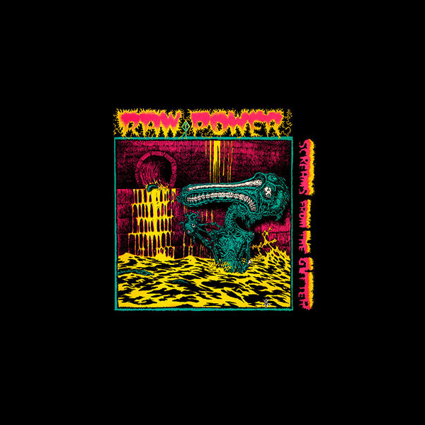 RAW POWER - Screams From the Gutter