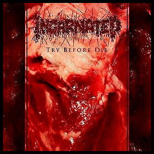 INCARNATED - Try Before Die