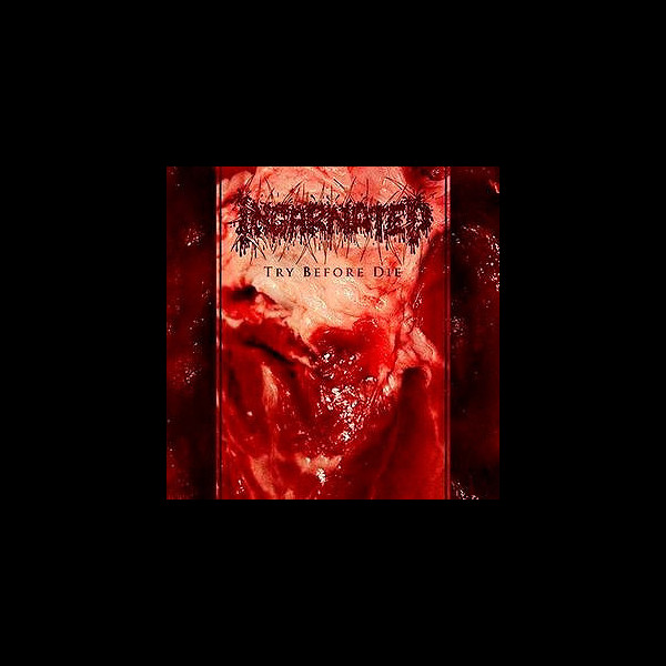 INCARNATED - Try Before Die