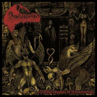 INSEPULTO - Morbid Spawn of Resurrection