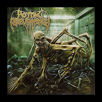 ROTTING REPUGNANCY - Path of the Diminished