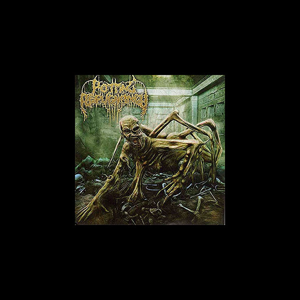 ROTTING REPUGNANCY - Path of the Diminished