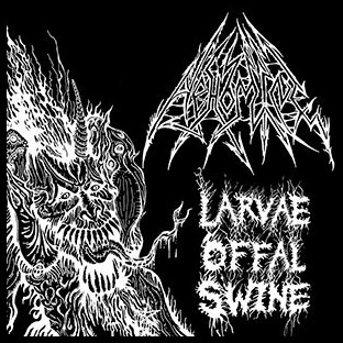 ABHOMINE - Larvae Offal Swine