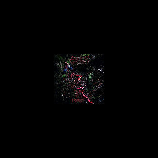 ATRETIC INTESTINE - Trail of Entrails