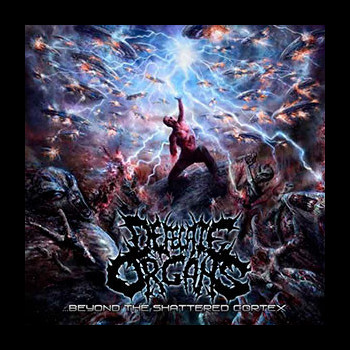 DEFECATE ORGANS - Beyond the Shattered Cortex