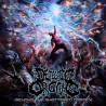 DEFECATE ORGANS - Beyond the Shattered Cortex