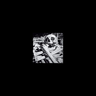 ENCOFFINATION - Necros Obscuritas