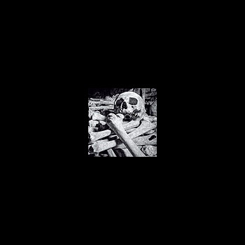 ENCOFFINATION - Necros Obscuritas