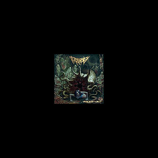 TURBIDITY - Vomiting the Rotten Maggot