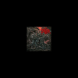 DATURA (ukr) - The Amplitudes of Pacificacion