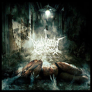 BRADI CEREBRI ECTOMIA - Mangled Perception