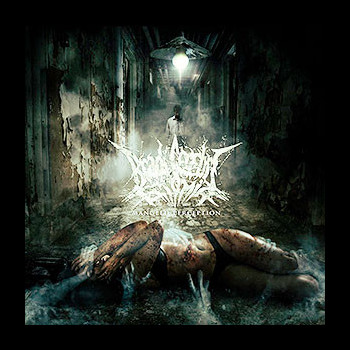 BRADI CEREBRI ECTOMIA