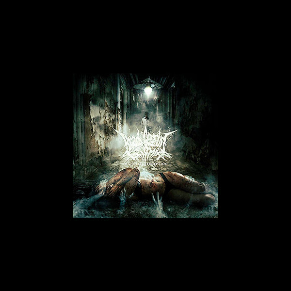 BRADI CEREBRI ECTOMIA - Mangled Perception