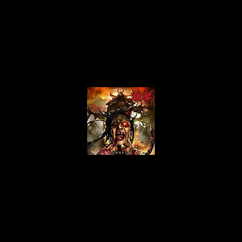 SARUGUTUWA - Namakubi