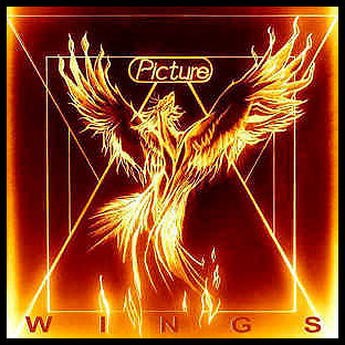 PICTURE - Wings