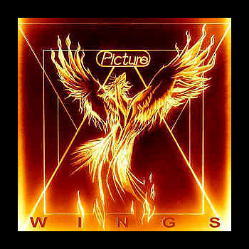 PICTURE - Wings