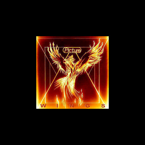 PICTURE - Wings