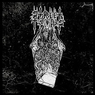 STREET TOMBS - Web of Death