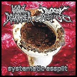 VAGINAL DIARRHOEA/BLOODY DIARRHOEA - Systematic Assplit