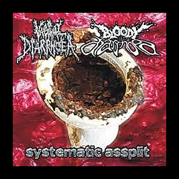 VAGINAL DIARRHOEA/BLOODY DIARRHOEA - Systematic Assplit