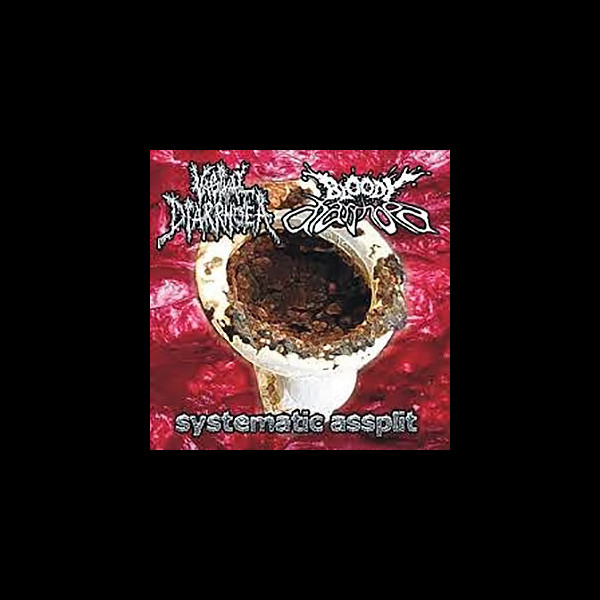 VAGINAL DIARRHOEA/BLOODY DIARRHOEA - Systematic Assplit